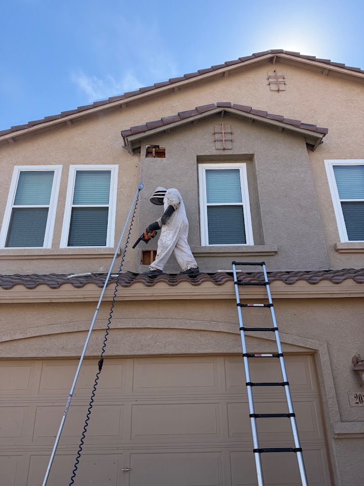 Arizona Professional Bee Removal project